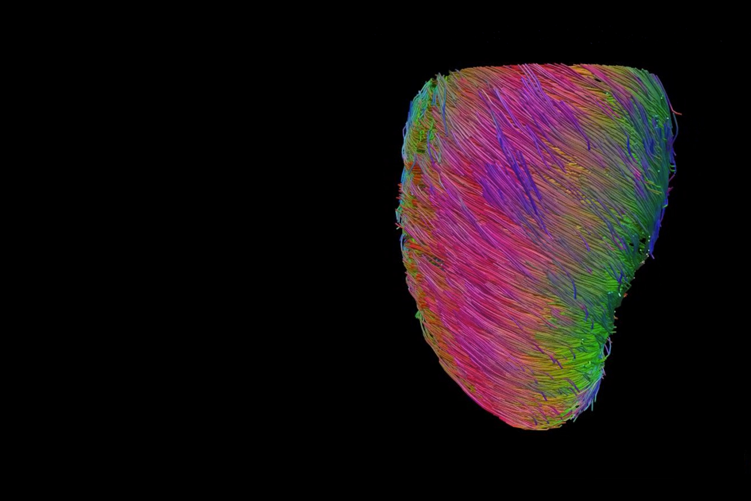 Christopher Nguyen Lab