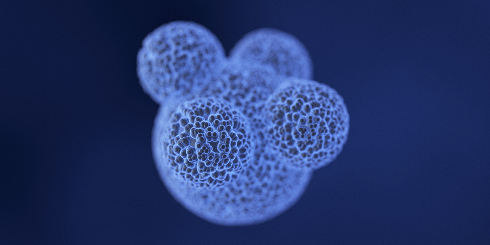 Shideng Bao Lab