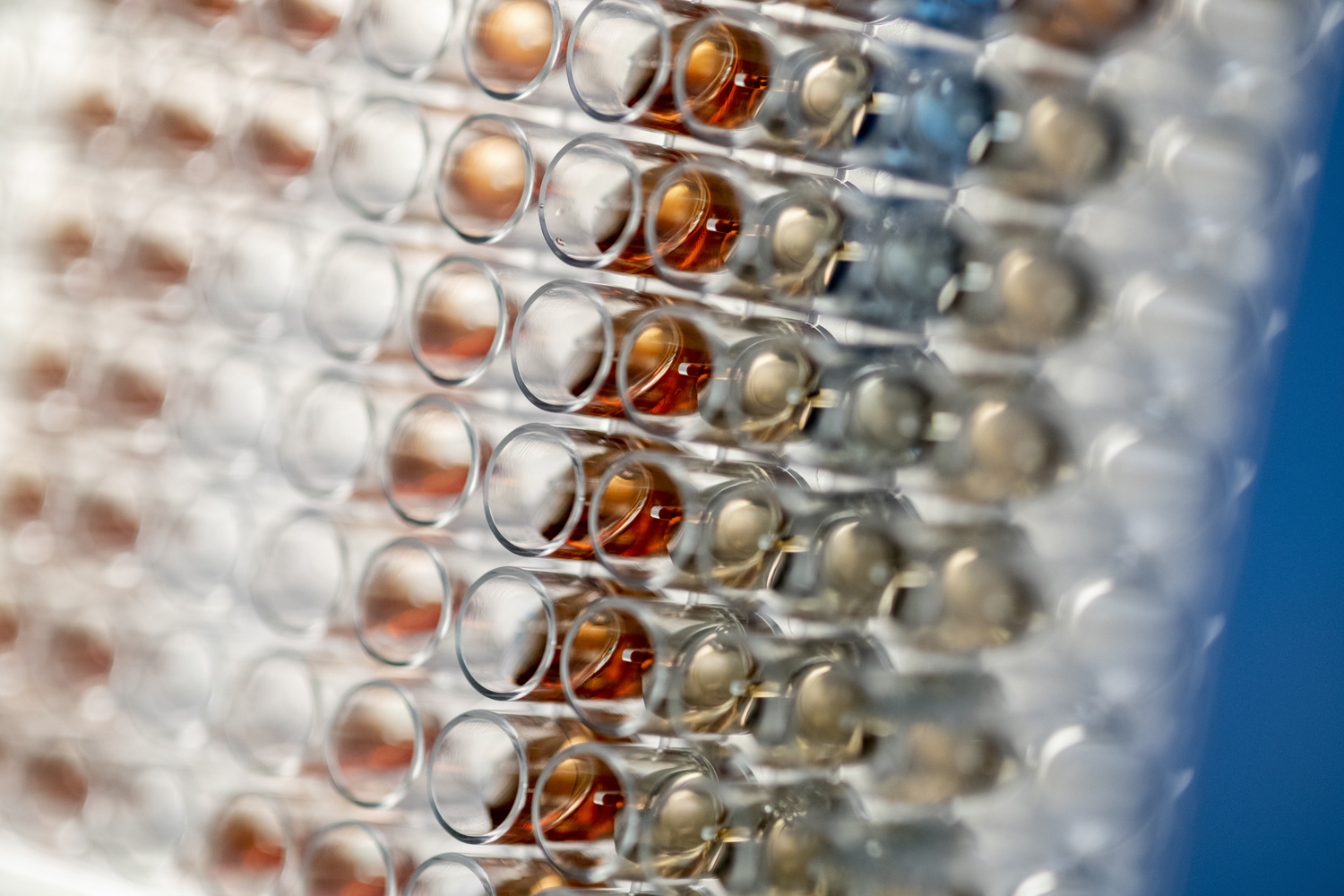 Christopher Hine Lab