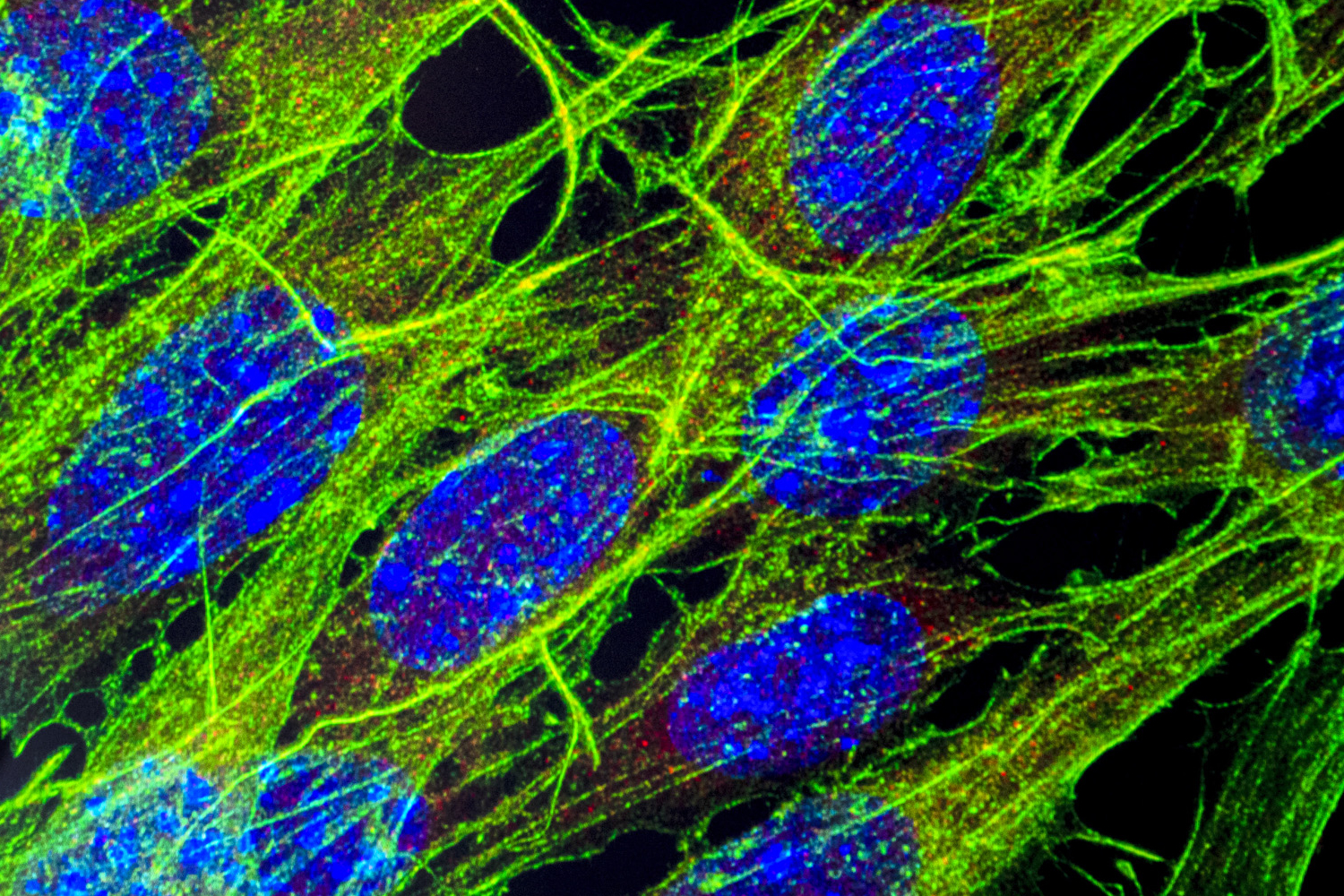 Sadashiva Karnik Lab