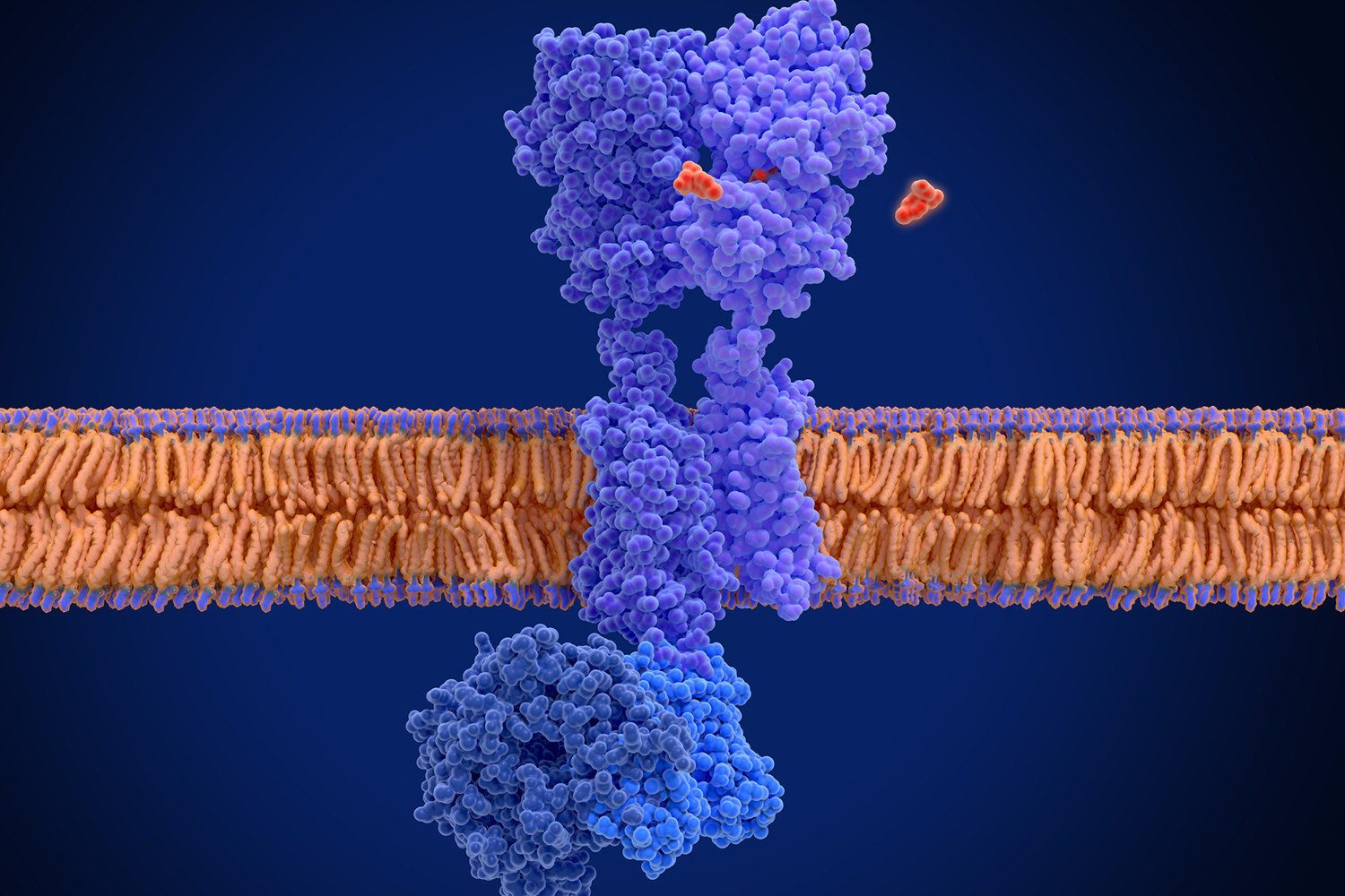 Sathyamangla Prasad Lab