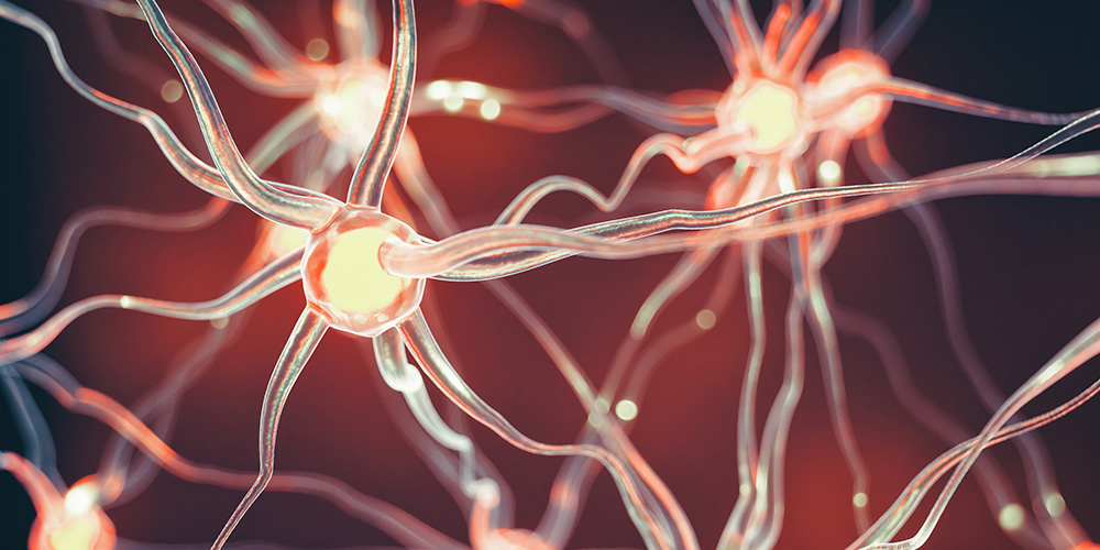 Gunnar Poplawski Lab