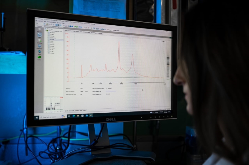 Analysis of DNA sequencing library by using 2100 Bioanalyzer
