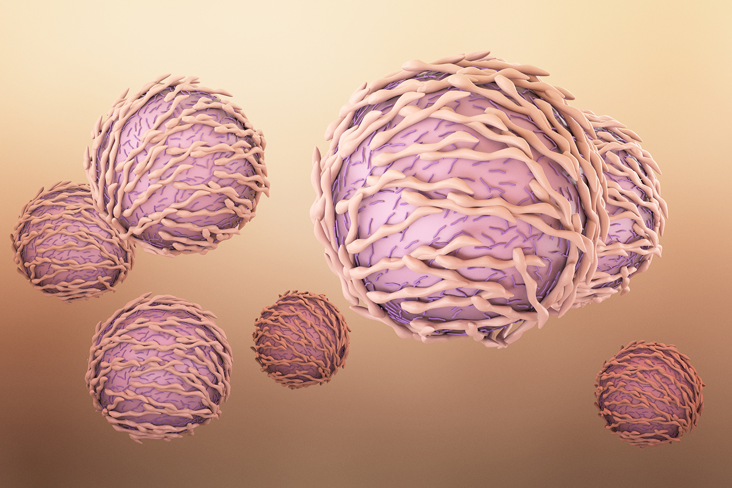 Robert Fairchild Lab