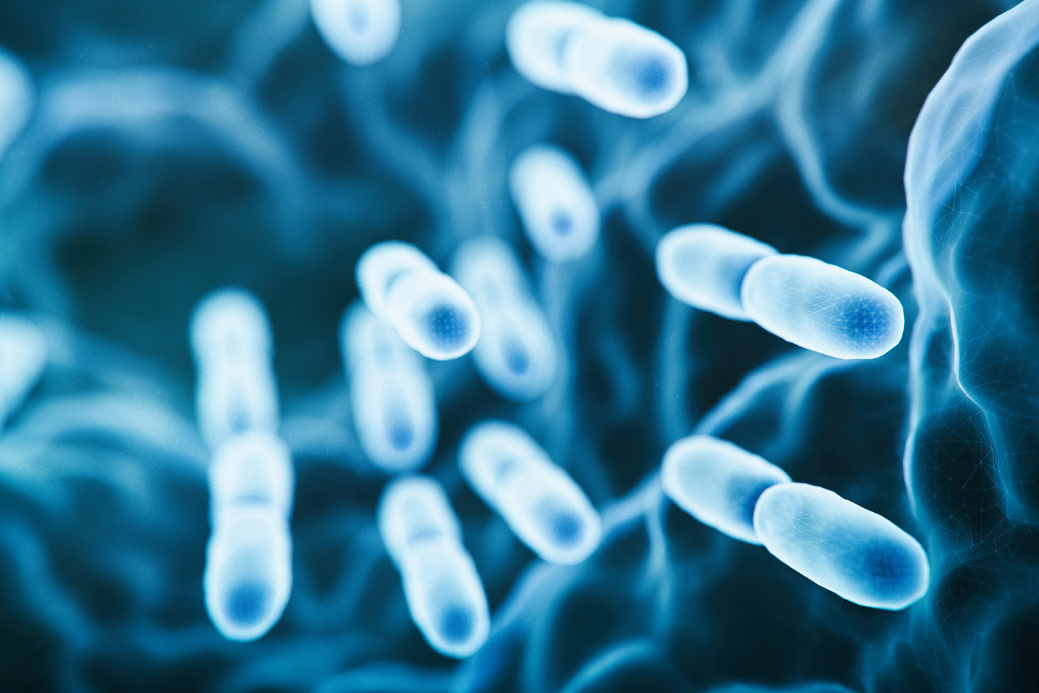 Jeannette Messer Lab