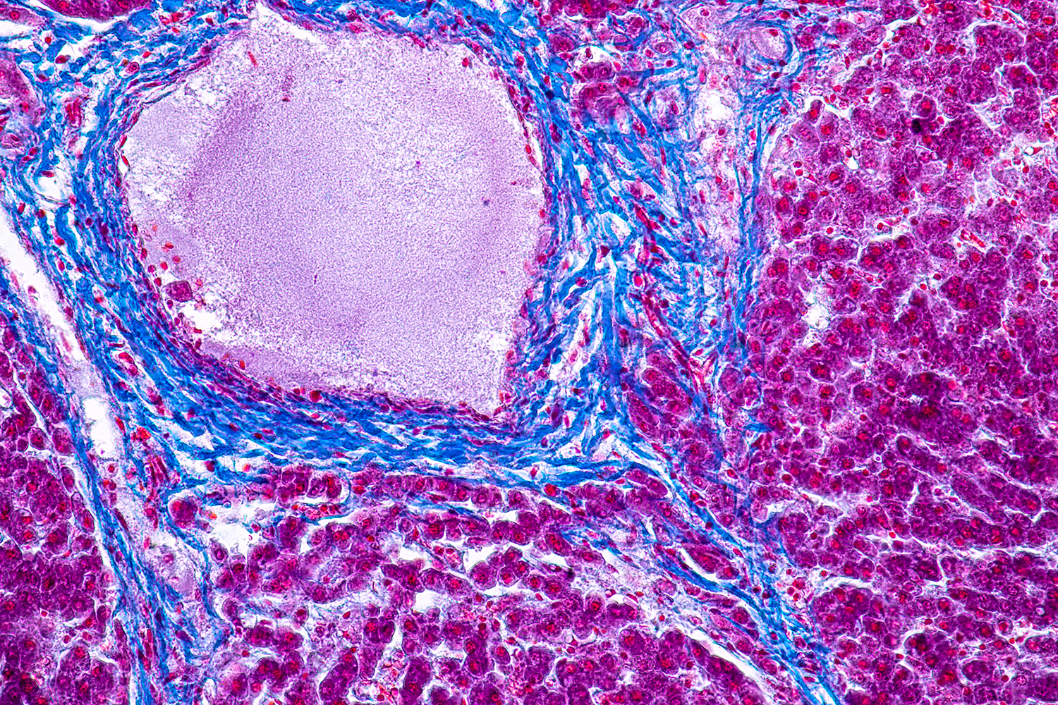Takuya Sakaguchi Lab