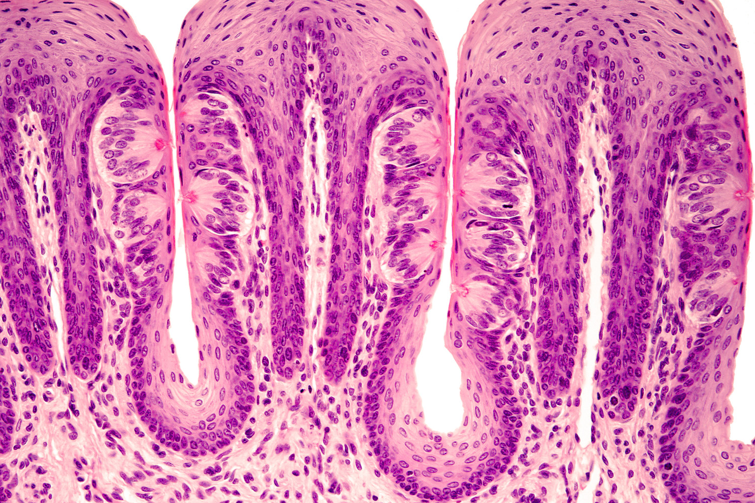 J. Michael Stolley Lab