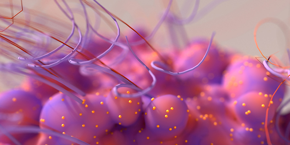 Charles Tannenbaum Lab