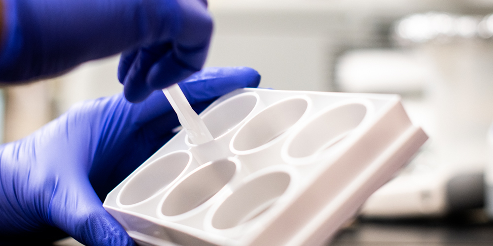 Vidula Vachharajani Lab