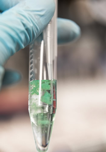 Close-up of test tube filled with clear solution.