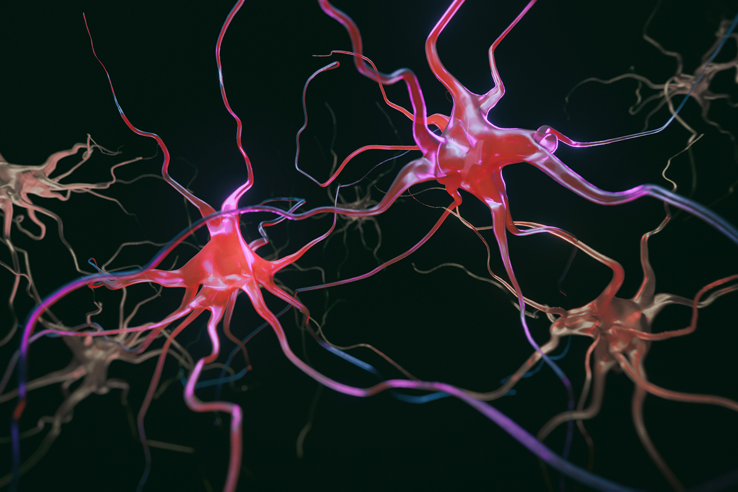 Rodrigo Lopez Gonzalez Lab