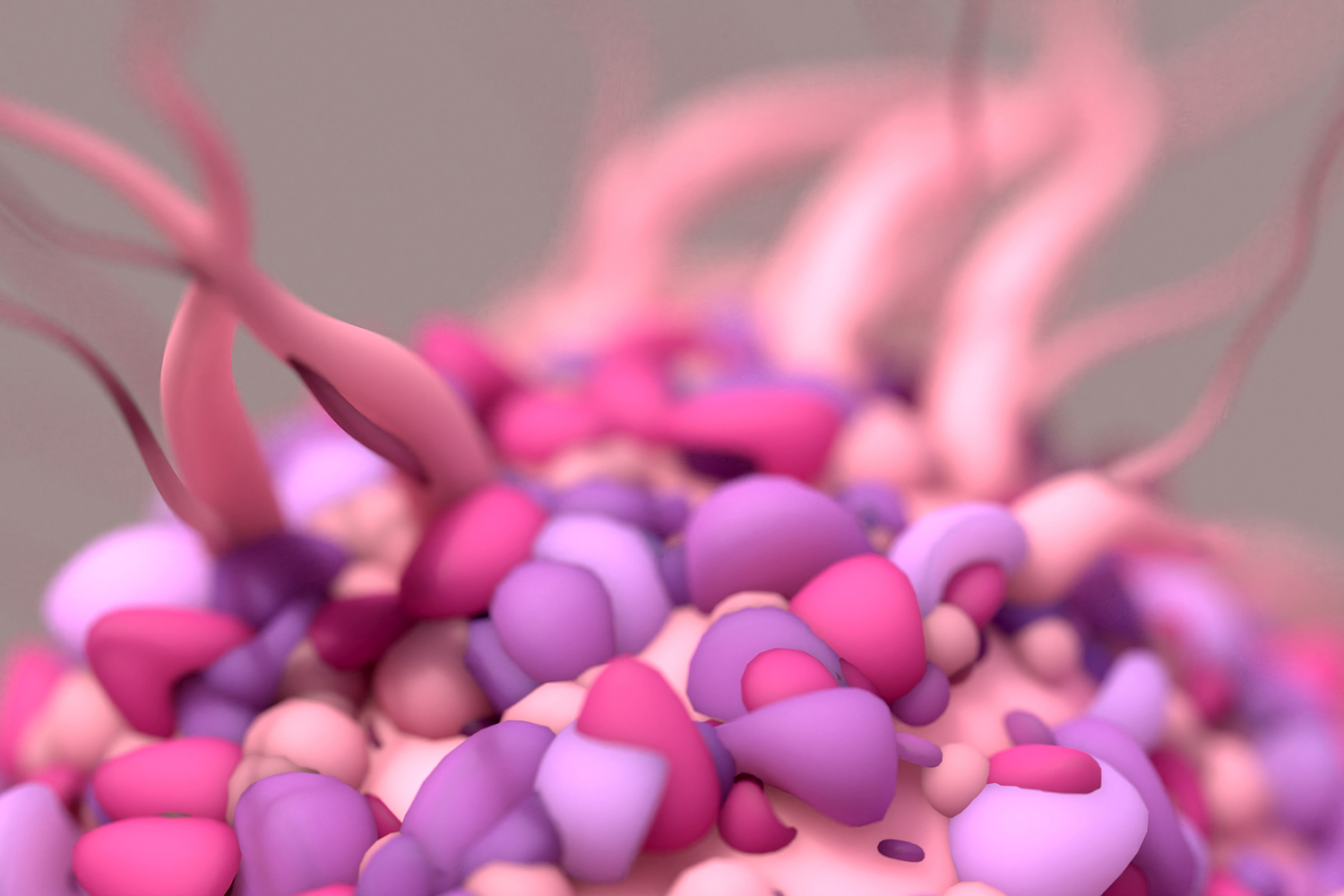 K. P. Connie Tam Lab