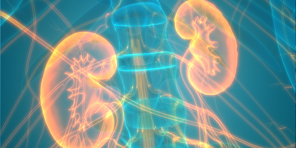 Gerald Beck Research Program