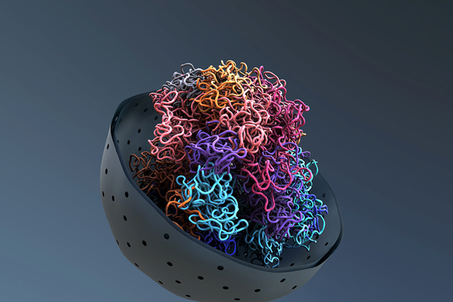 Ming Hu Research Program