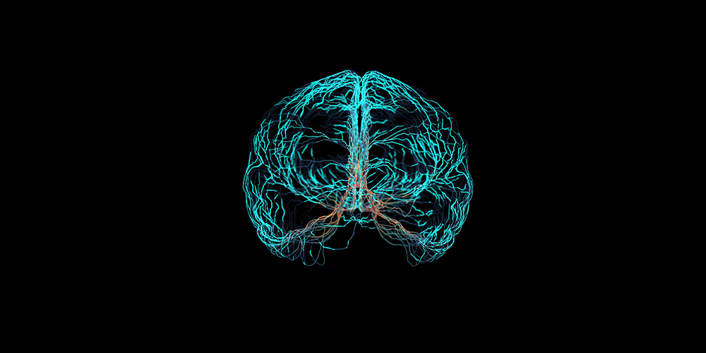 Brittany Lapin Research Program