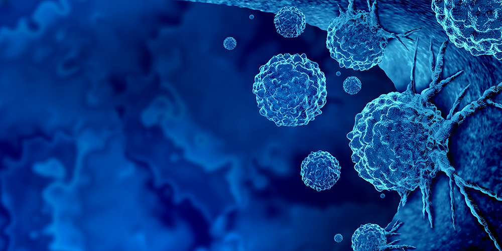 Sujata Patil Research Program