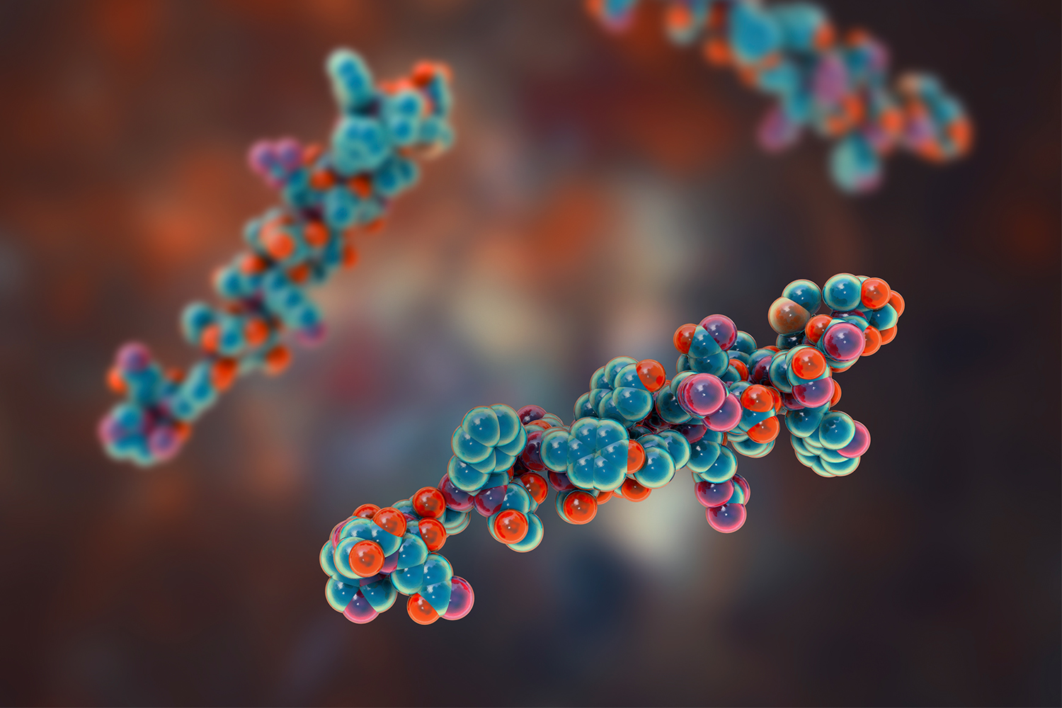 Daniel  Rotroff Research Program