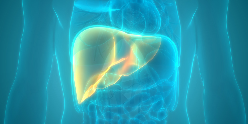 Omar Sims Research Program