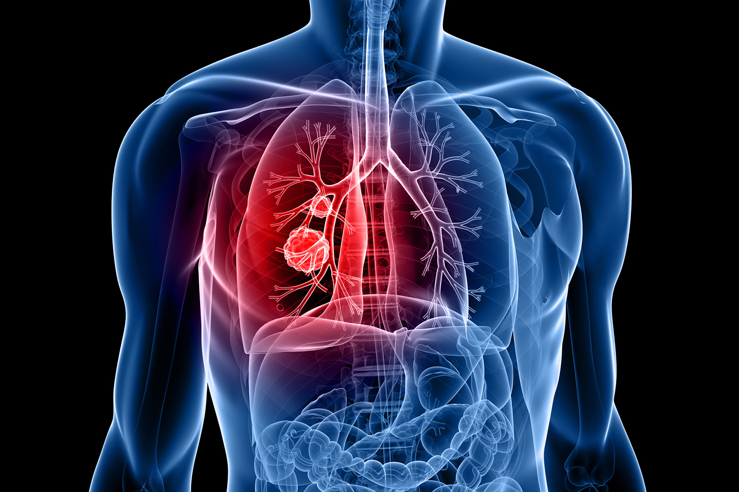 Xiaofeng Wang Research Program