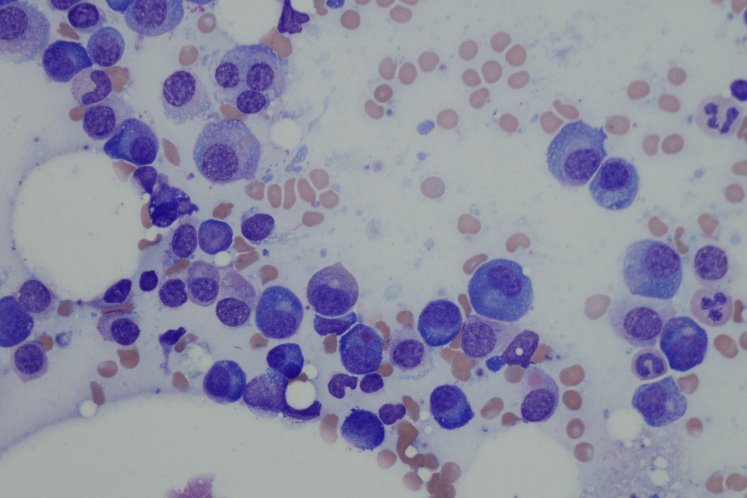 Valeria Visconte Lab